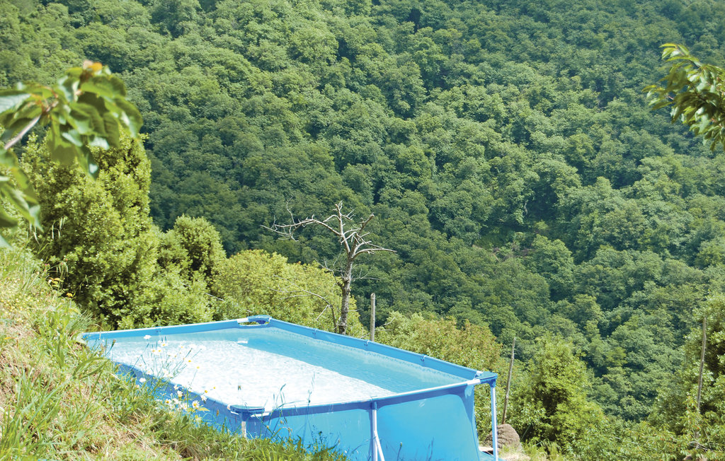 Semesterhus - Metato , Italien - ITV784 3