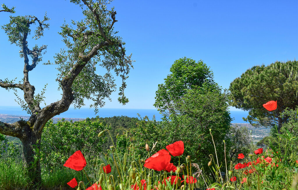 Feriehus - Camaiore , Italia - ITV781 23