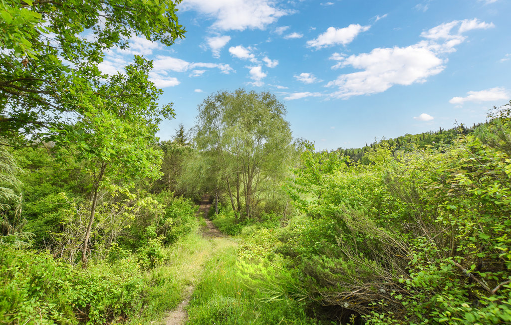 Ferienhaus - Umbertide , Italien - IUN010 35