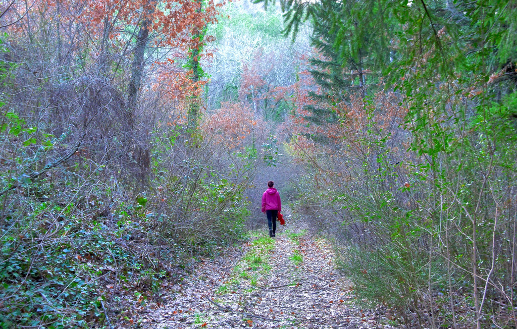 Ferienhaus - San Venanzo , Italien - IUO003 45