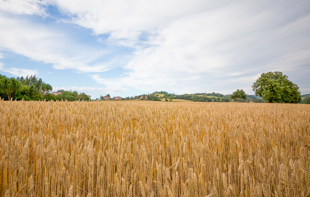 Semesterhus - Lugnano in Teverina , Italien - IUO004 36