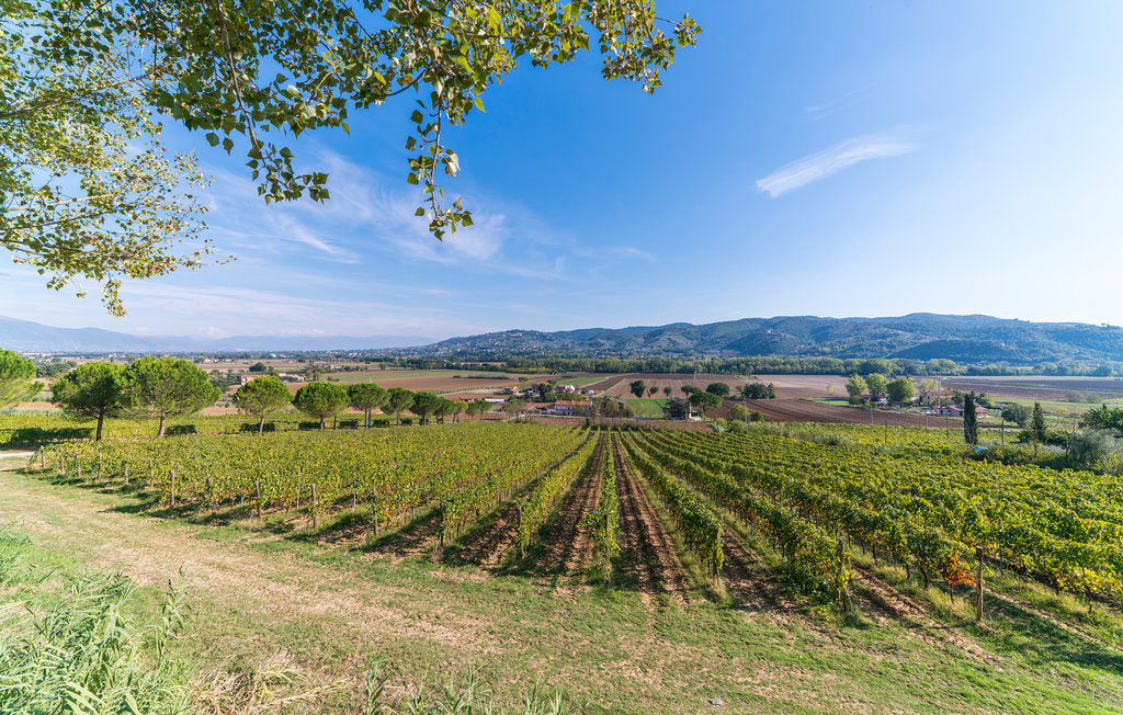 Semesterhus - Lugnano in Teverina , Italien - IUO004 37
