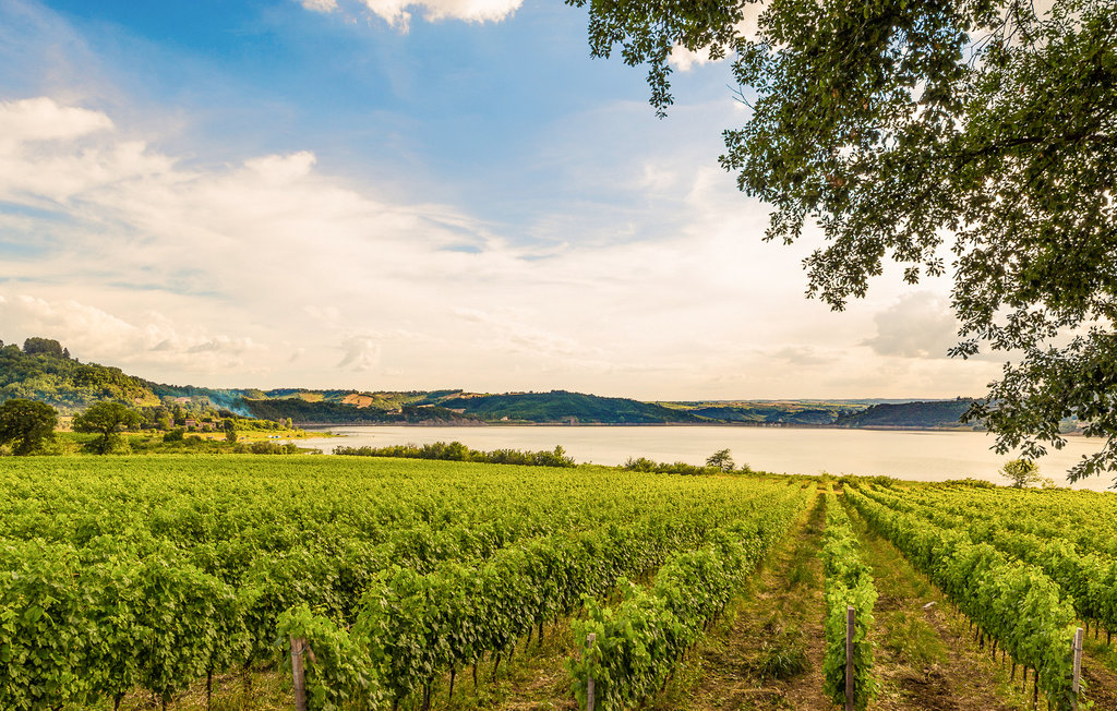 Lejlighed - Ficulle , Italien - IUO010 38