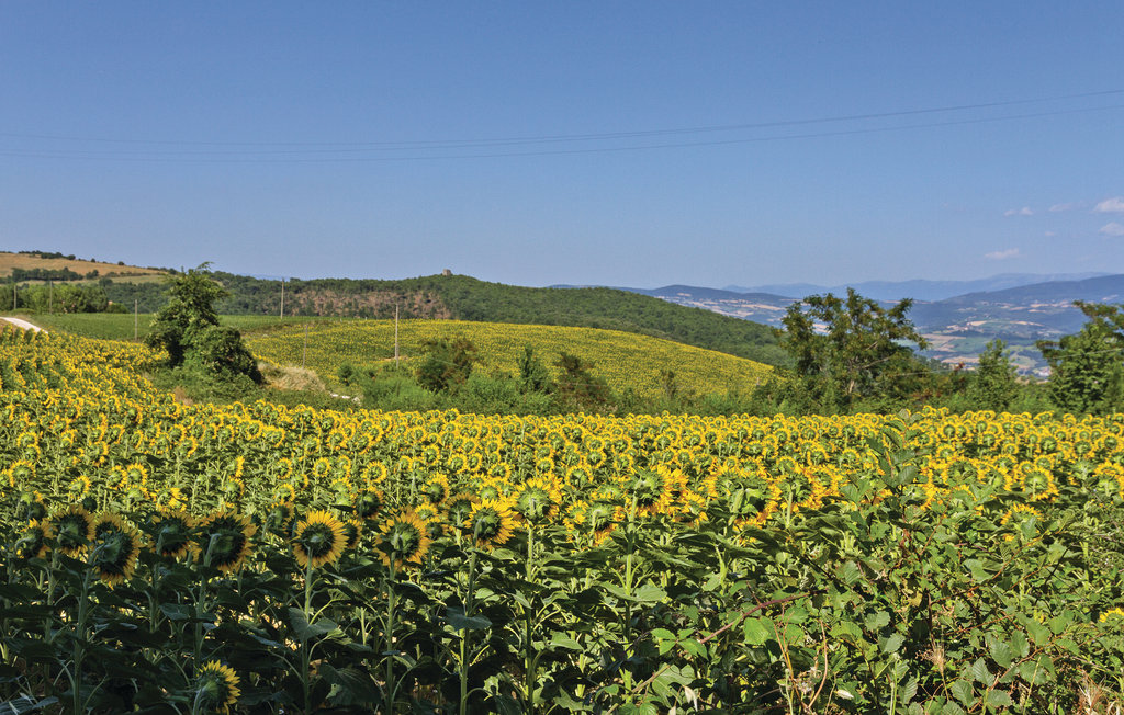 Feriehuse - Todi , Italien - IUP367 40