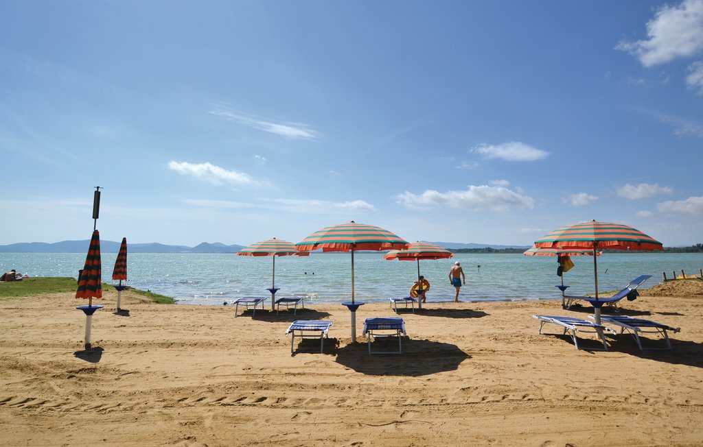 Ferienwohnung - Greppolischieto , Italien - IUP864 18