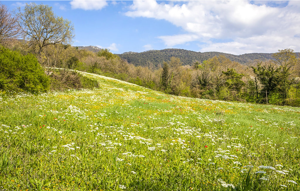 Feriehuse - Massa Martana , Italien - IUP946 29