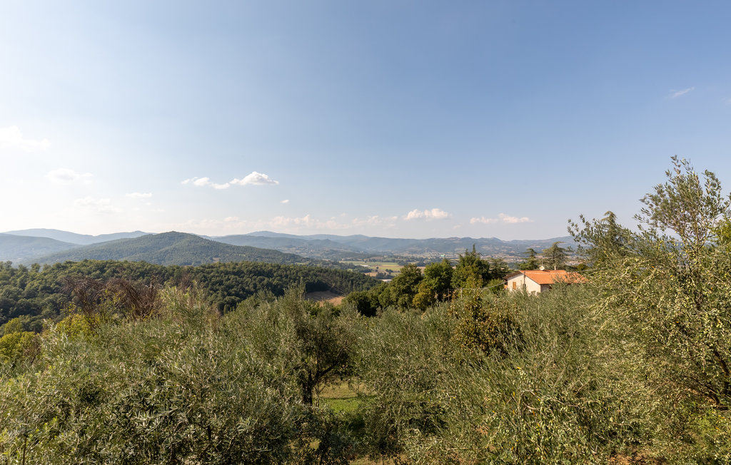 Ferienhaus - Umbertide , Italien - IUP346 22