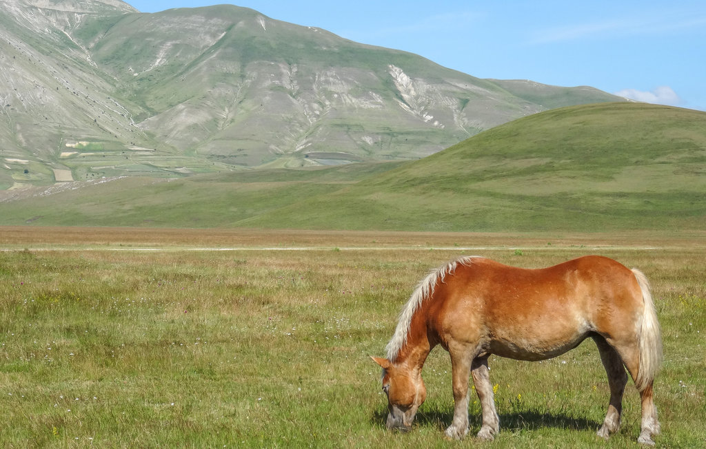 Feriehuse - Norcia - Preci , Italien - IUP955 23