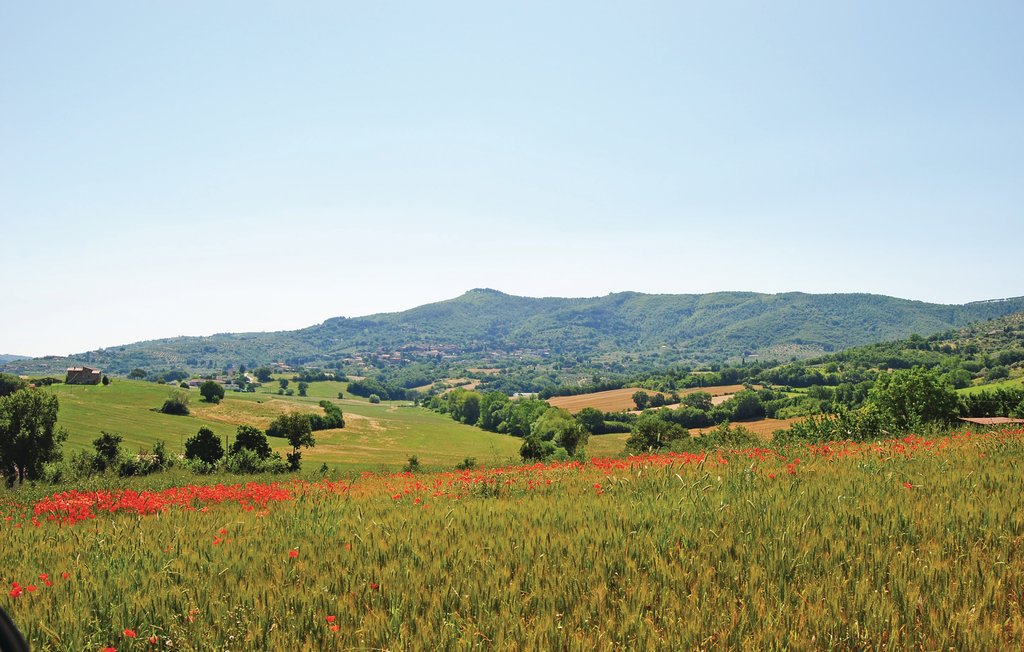 Ferienwohnung - Greppolischieto , Italien - IUP864 5