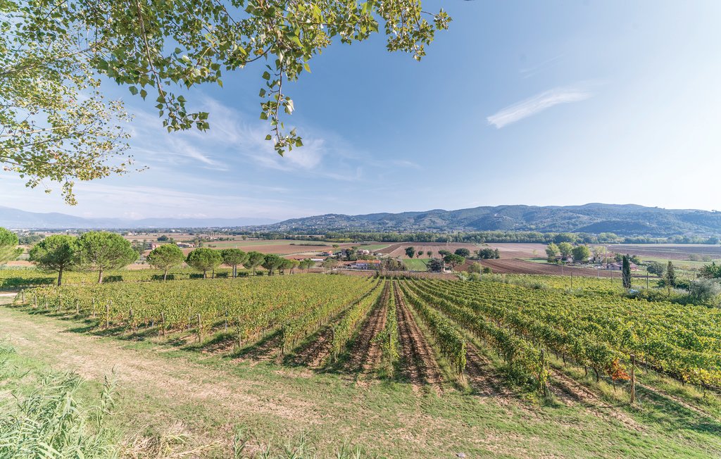 Ferienhaus - Torgiano , Italien - IUP393 28