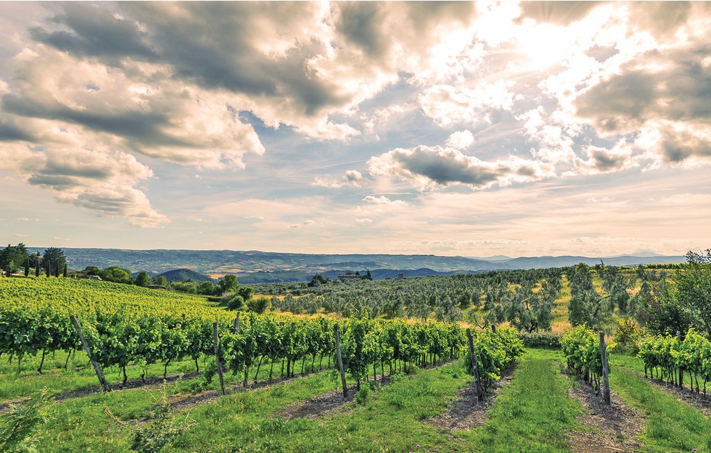 Ferienhaus - Orvieto , Italien - IUP241 46