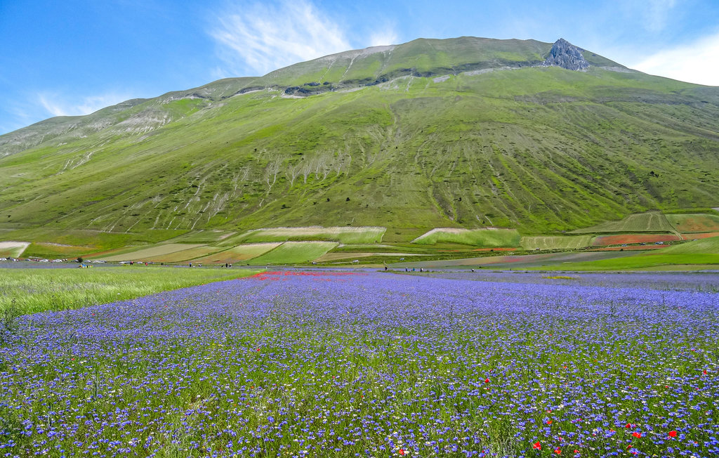 Feriehuse - Norcia - Preci , Italien - IUP955 20