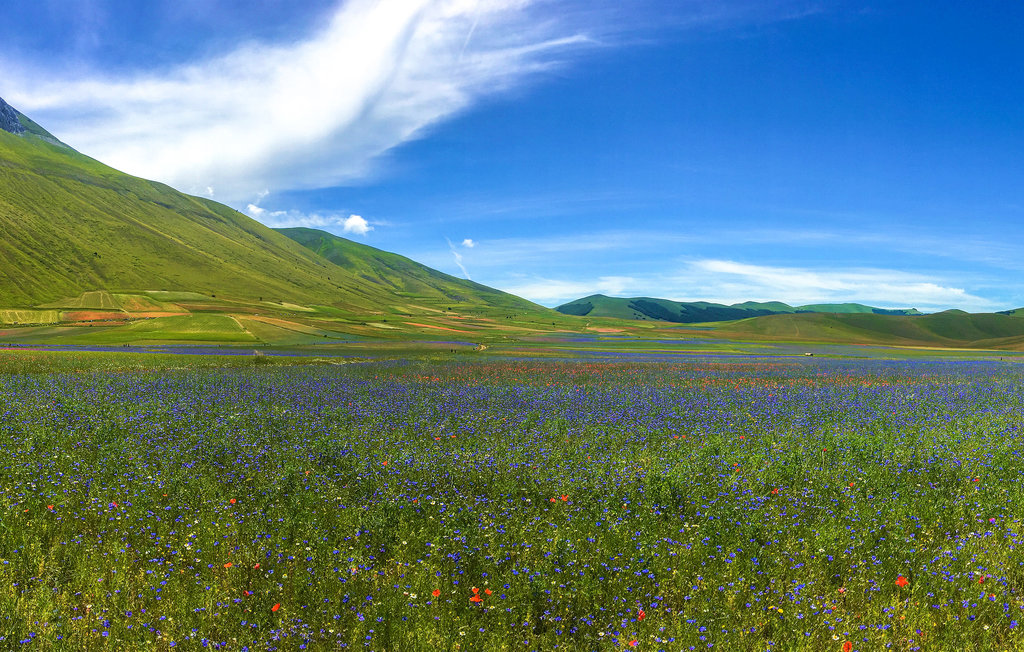 Feriehuse - Norcia - Preci , Italien - IUP955 22