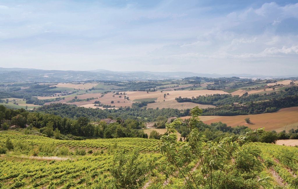 Ferienhaus - Pietralunga , Italien - IUP198 26