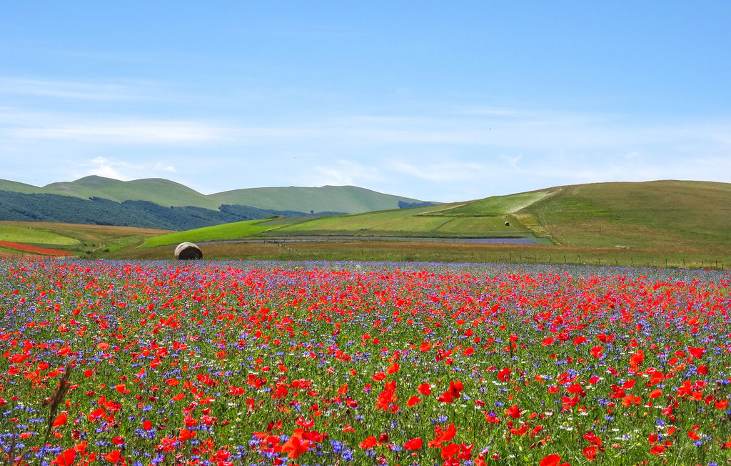 Feriehuse - Norcia - Preci , Italien - IUP955 6