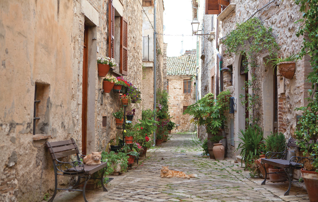 Ferienhaus - Lugnano in Teverina , Italien - IUP762 35