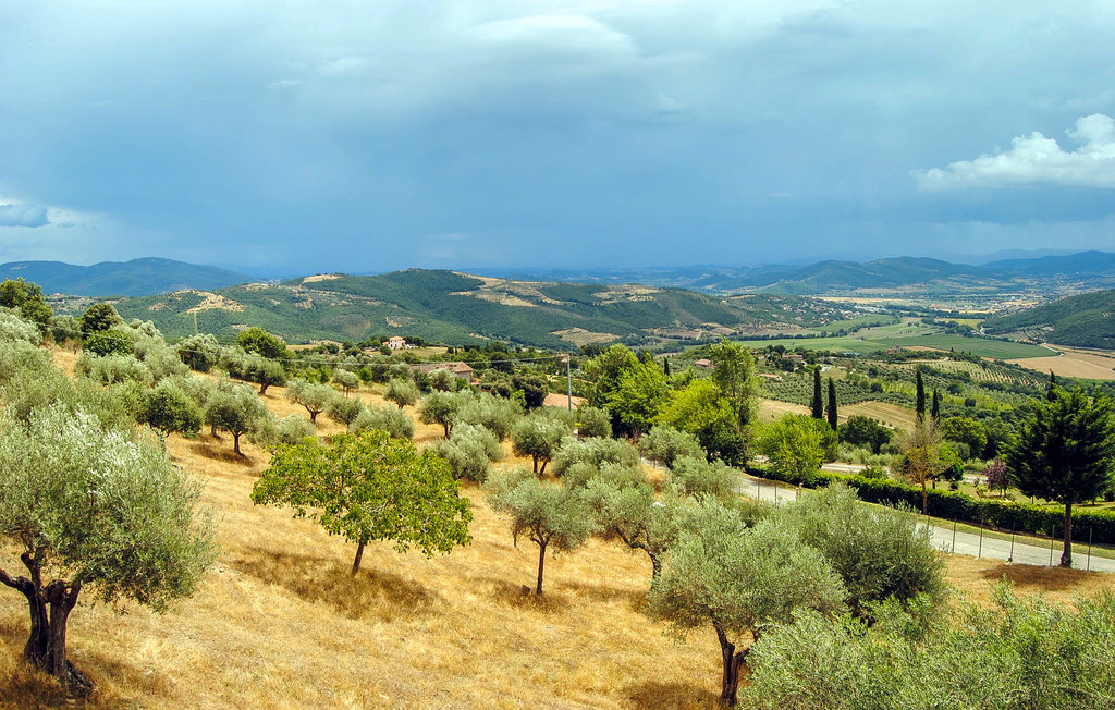 Semesterhus - Umbertide , Italien - IUP268 7