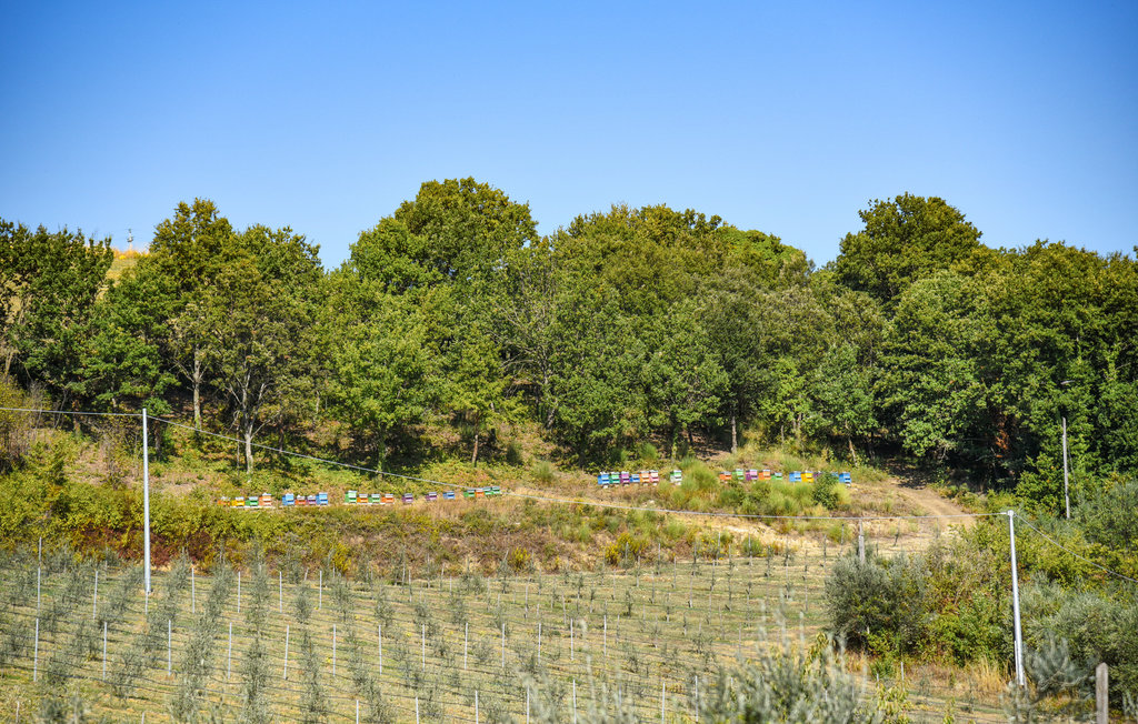 Semesterlägenhet - Gualdo Cattaneo , Italien - IUP001 7
