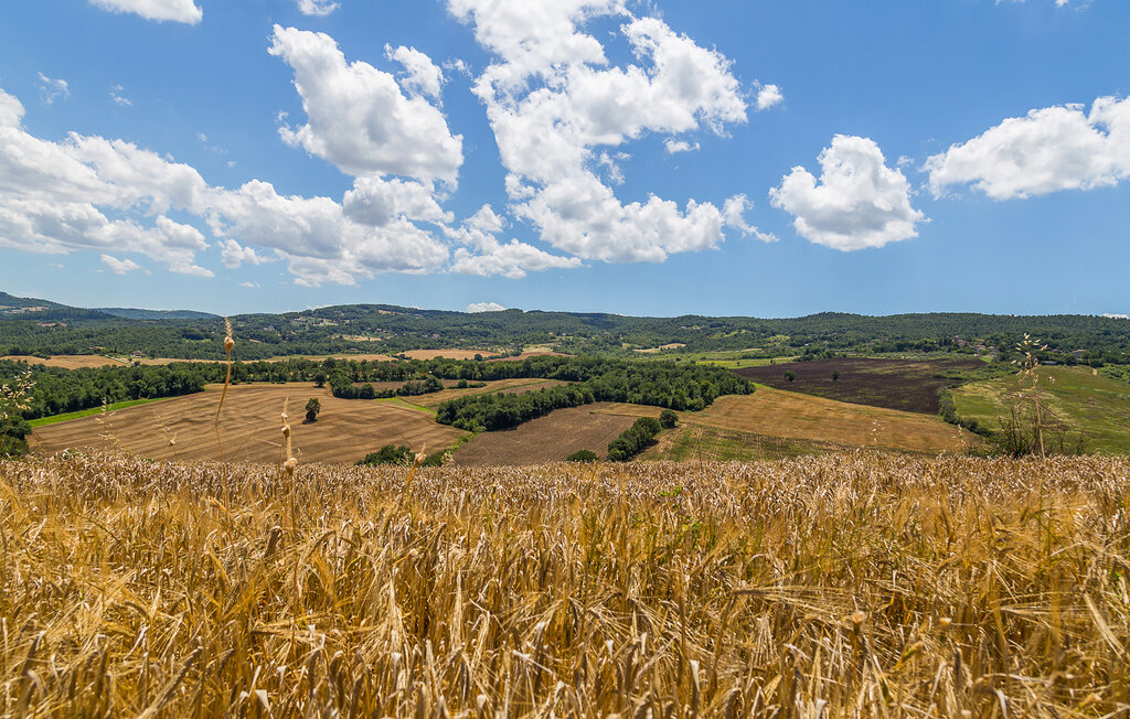 Ferienhaus - Todi , Italien - IUP009 42