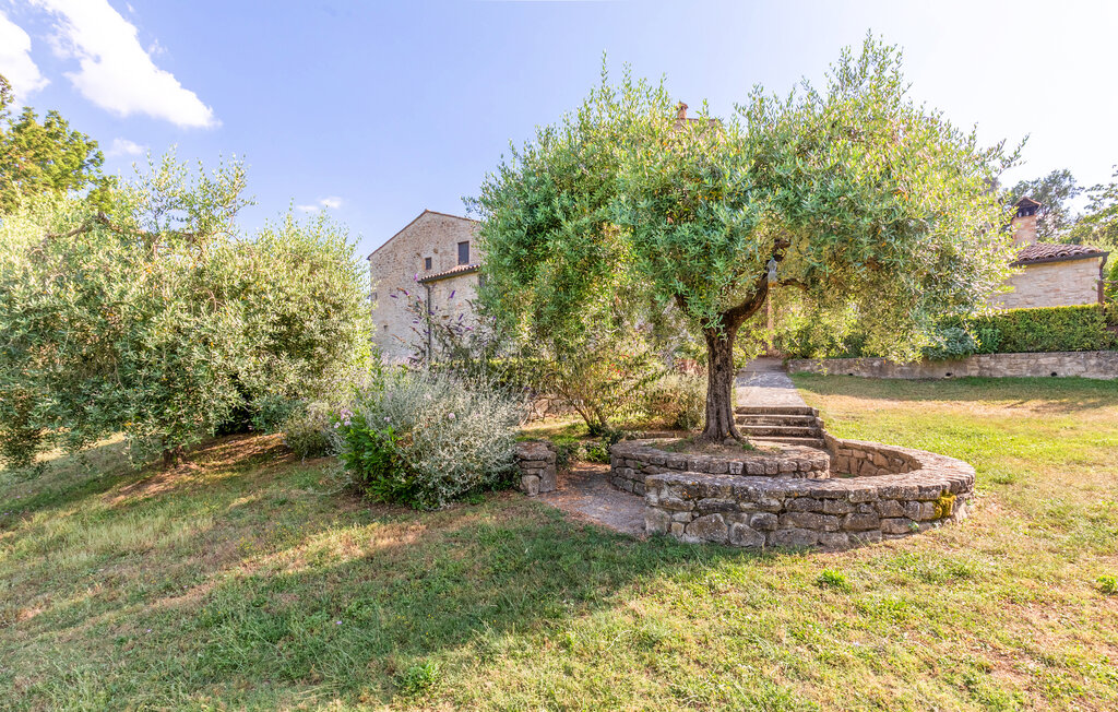 Ferienwohnung - Todi , Italien - IUP351 32