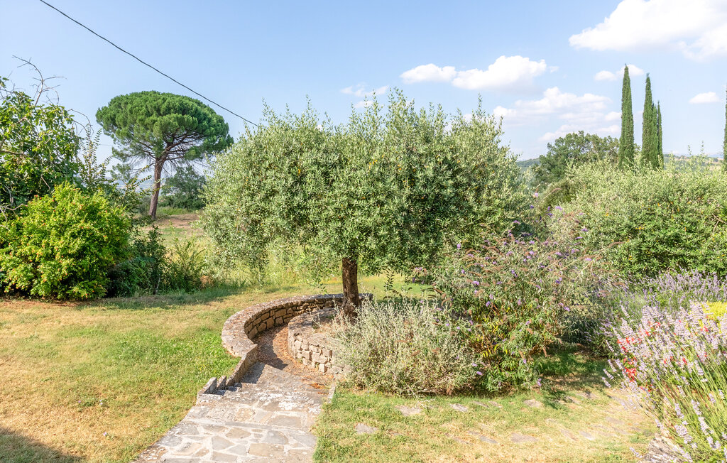 Ferienwohnung - Todi , Italien - IUP394 7