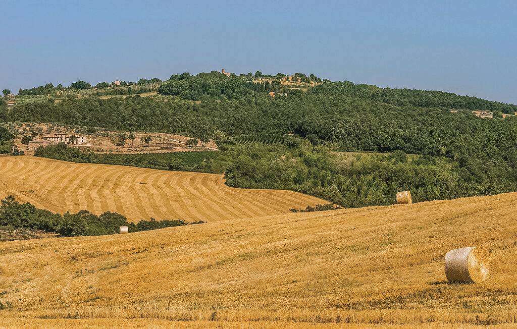 Ferienhaus - Todi , Italien - IUP637 31