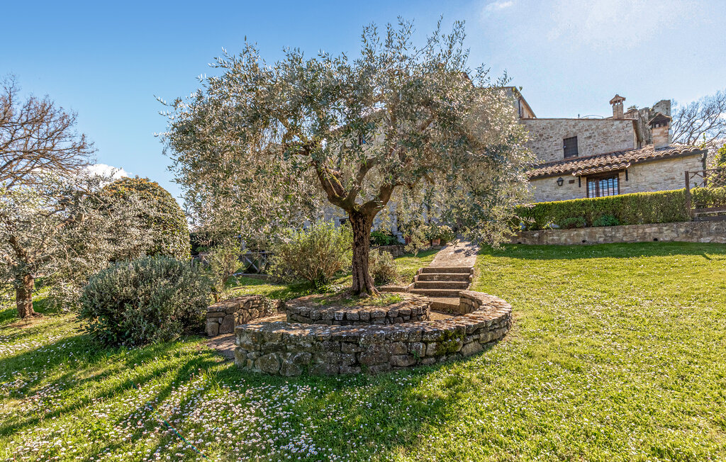 Ferieleilighet - Todi , Italia - IUP754 7