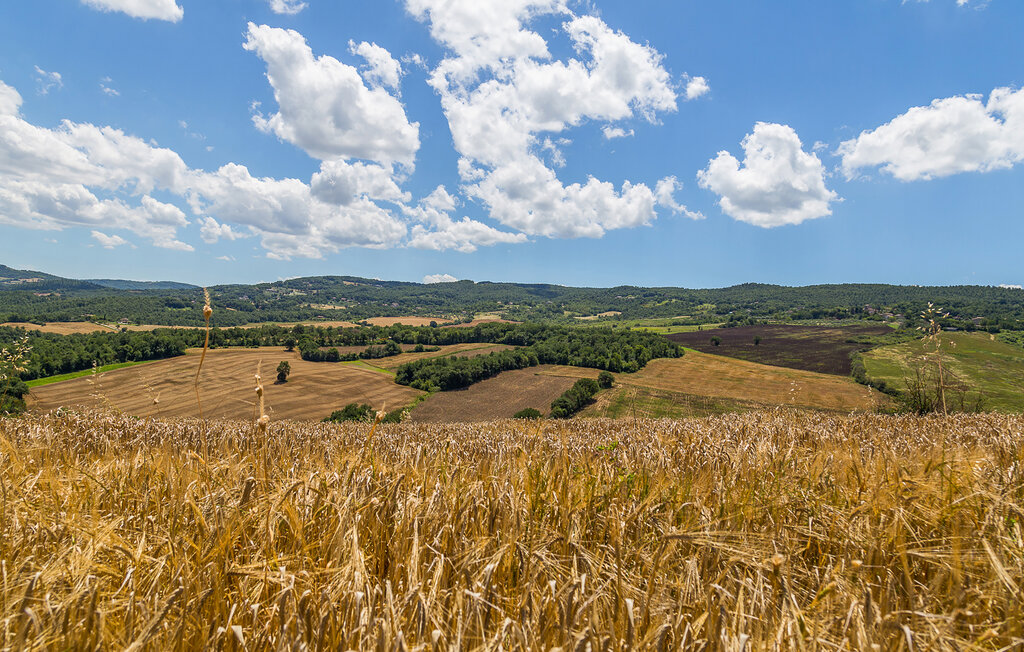 Ferienwohnung - Marsciano , Italien - IUP760 38