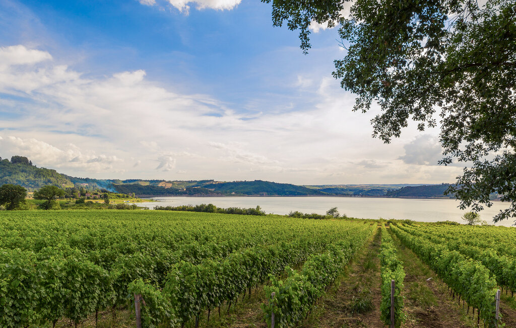 Ferienwohnung - Marsciano , Italien - IUP760 9