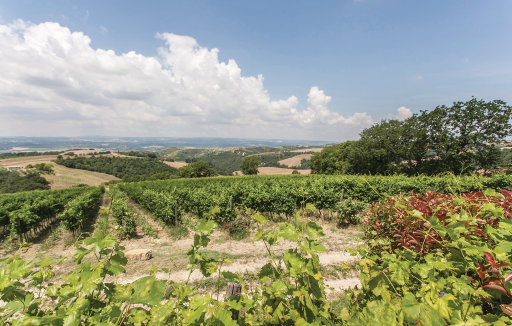 Ferienhaus - Lugnano in Teverina , Italien - IUS211 19