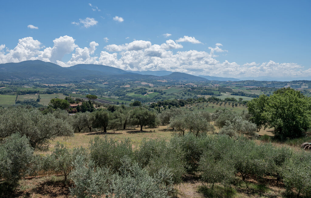 Domy wakacyjne - Narni , Włochy - IUS003 28