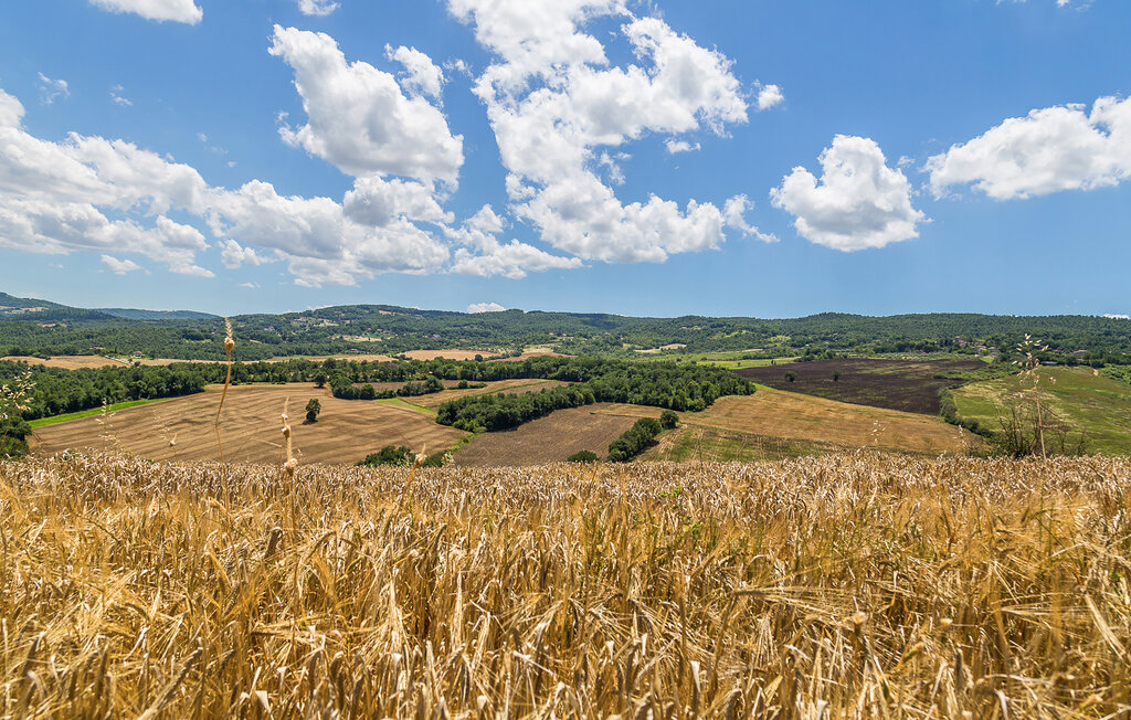 Ferienhaus - Todi , Italien - IUS008 38