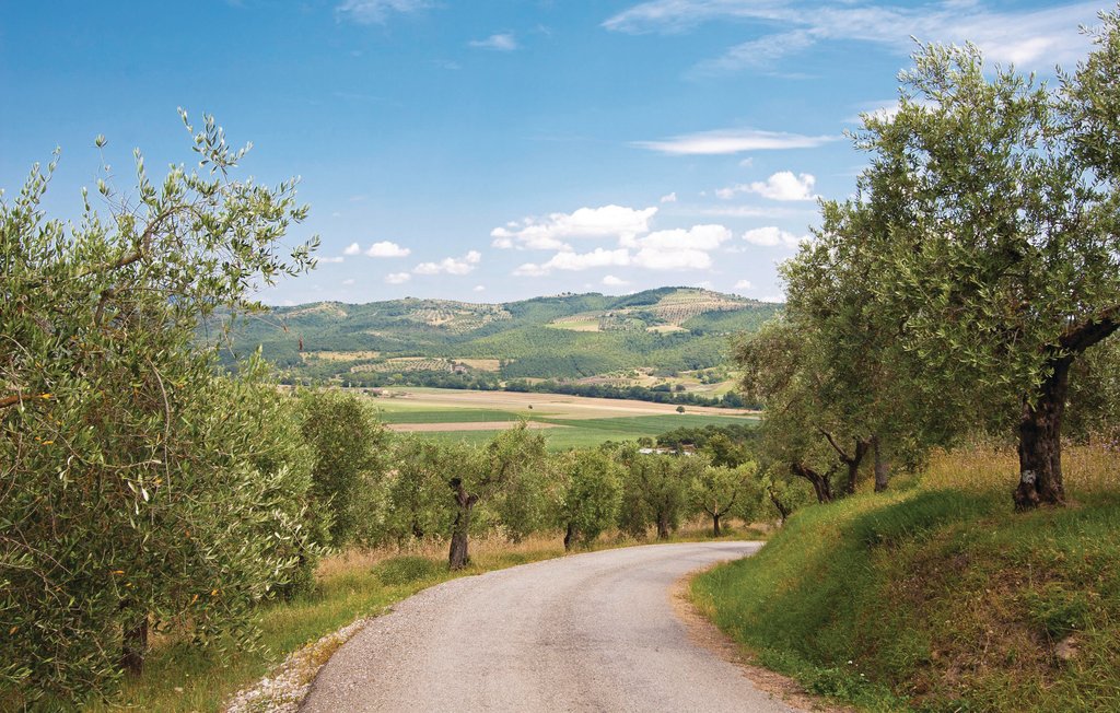 Ferienhaus - Magione , Italien - IUT167 26