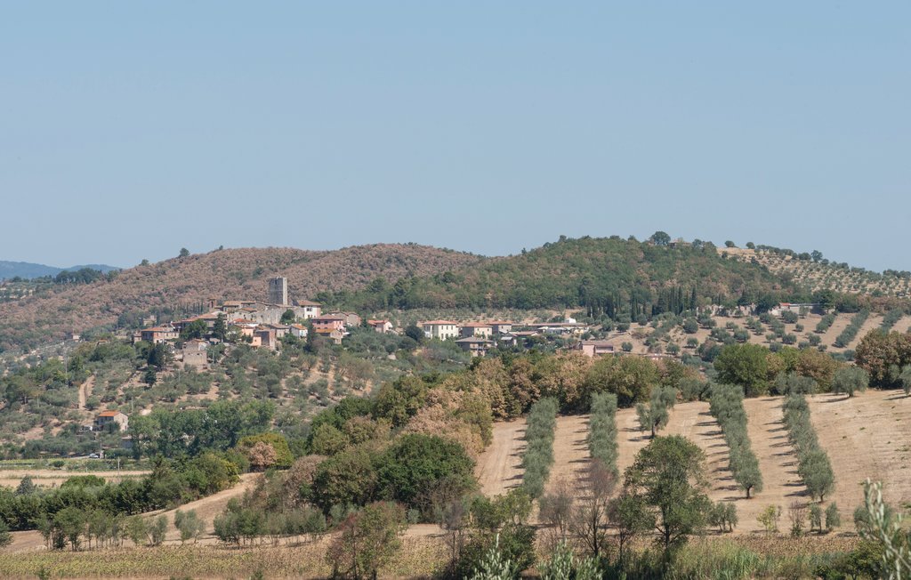 Ferienhaus - Magione , Italien - IUT245 23