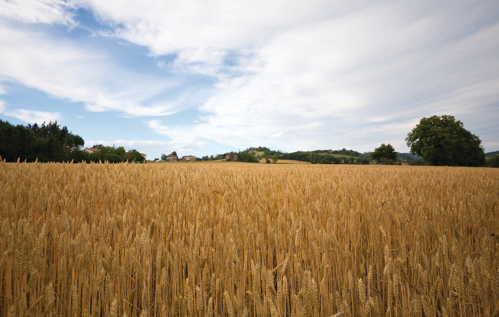 Semesterhus - Umbertide , Italien - IUT211 31