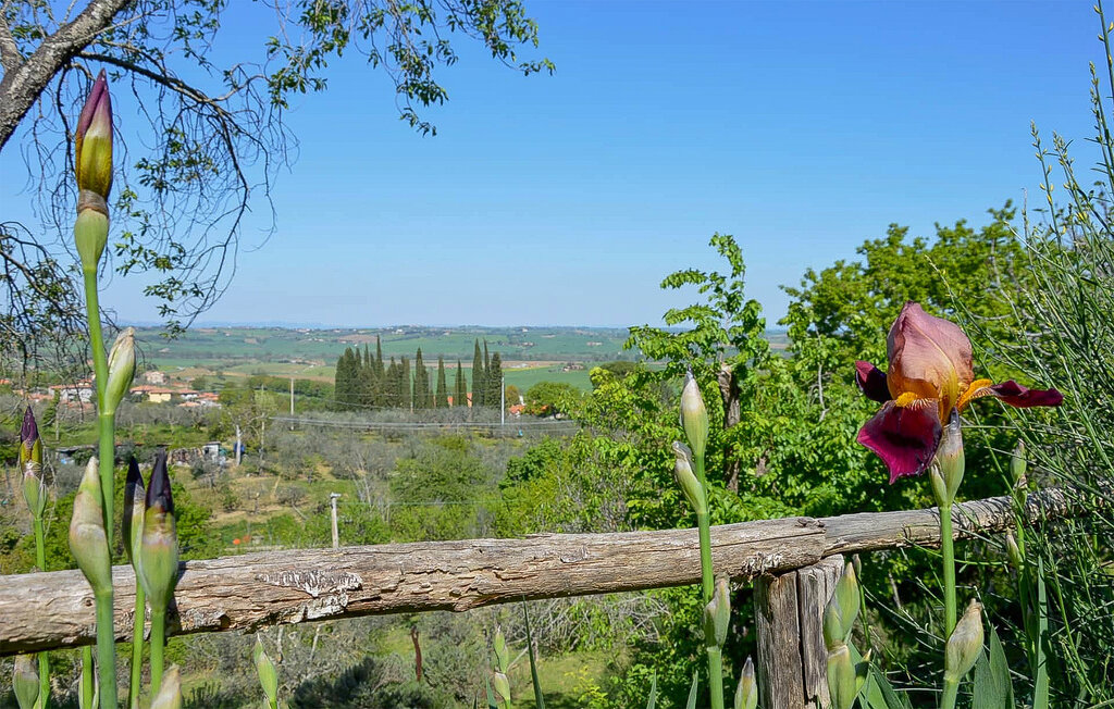 Feriehuse - Paciano , Italien - IUT007 14
