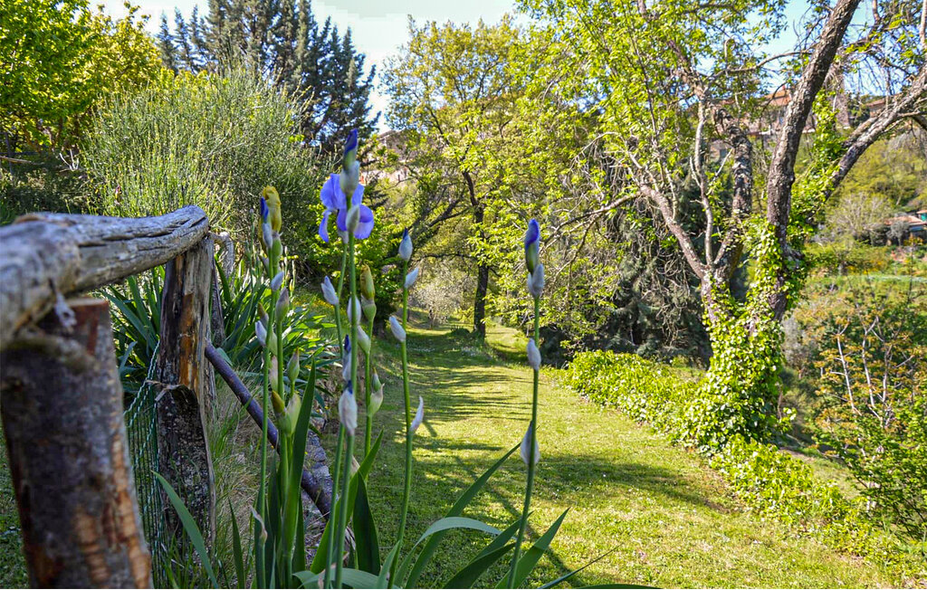 Lejlighed - Paciano , Italien - IUT006 7