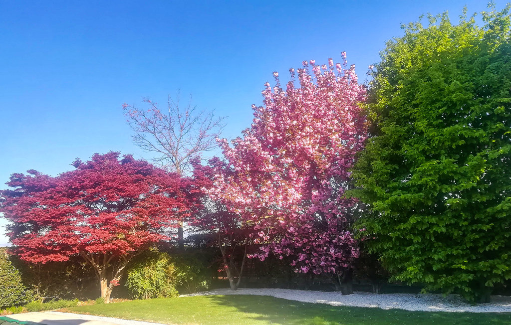 Feriehuse - Veneto, Treviso , Italien - IVC326 40