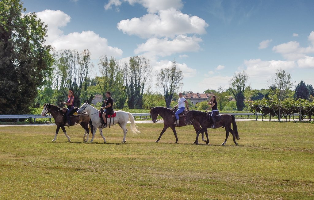 Lejlighed - Vicenza , Italien - IVC265 24