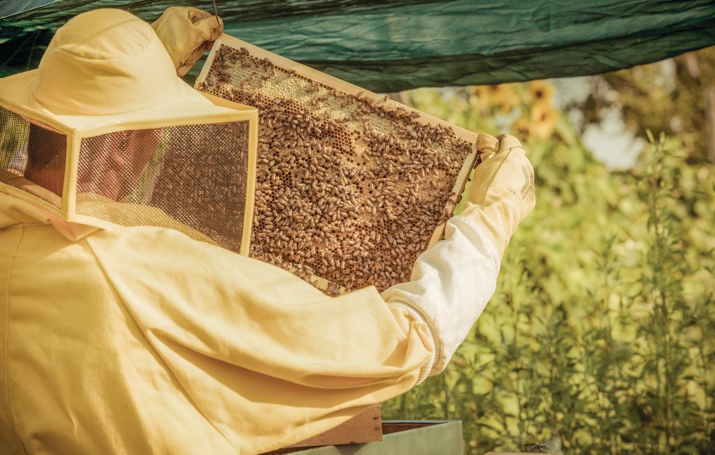 Lejlighed - Vicenza , Italien - IVC265 5