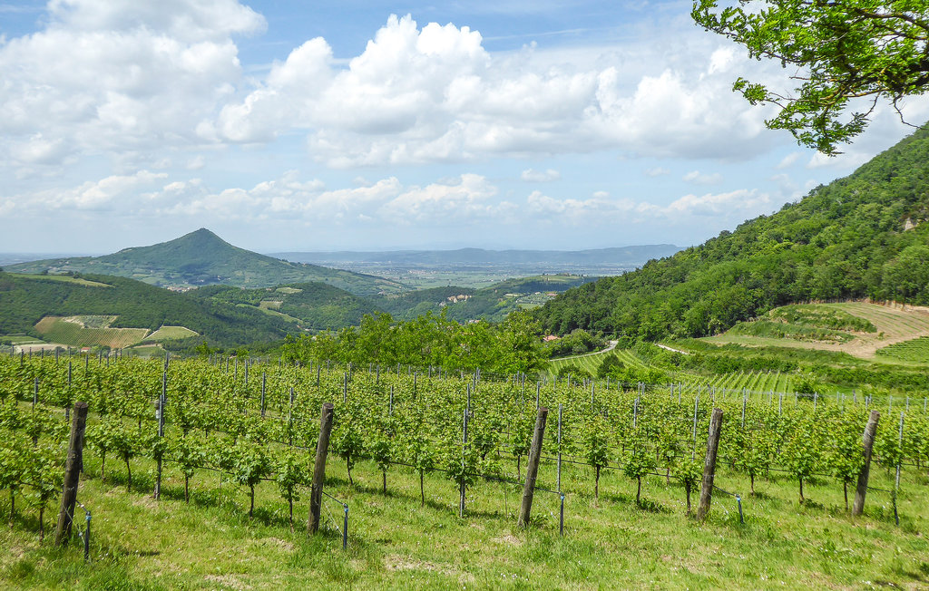 Ferienhaus - Valdobbiadene , Italien - IVC312 6