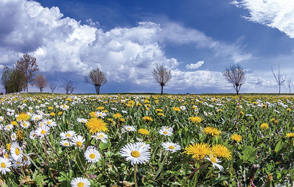 Lejlighed - Pontecchio Polesine , Italien - IVC208 4