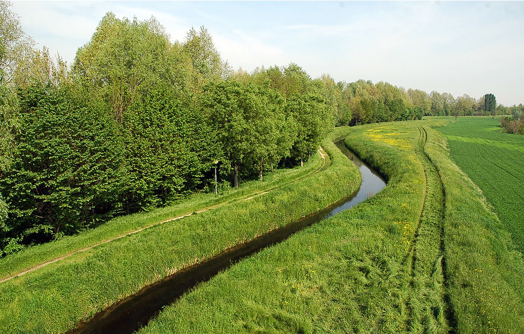 Ferienhaus - Montemerlo , Italien - IVC319 6