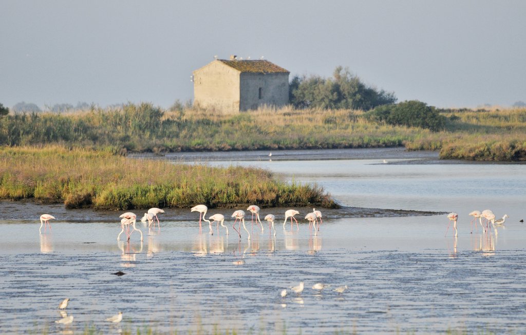 Ferienhaus - Taglio di Po , Italien - IVC102 28