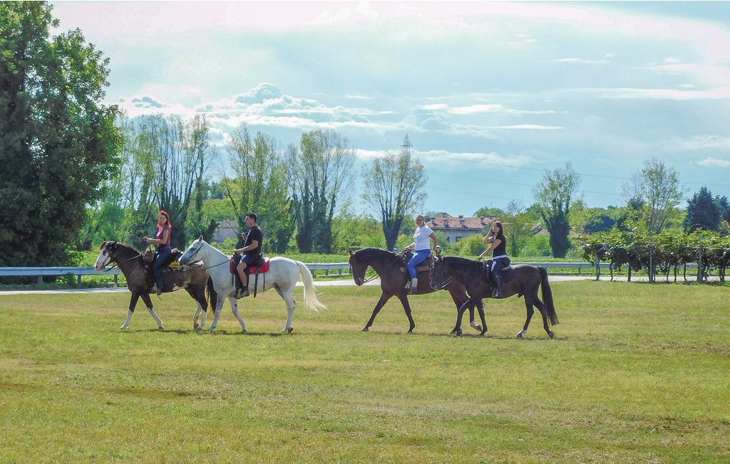 Feriehuse - Arcugnano , Italien - IVC273 24