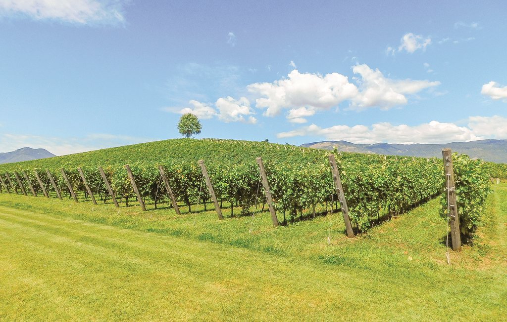 Ferienhaus - Arqua' Petrarca , Italien - IVC287 26