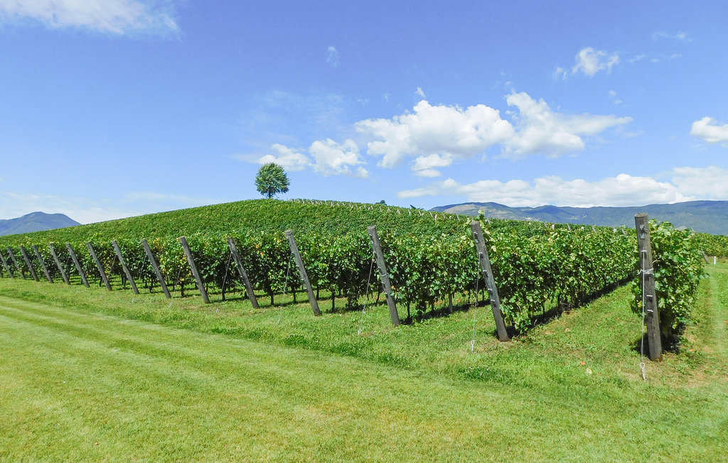 Ferienhaus - Chioggia , Italien - IVC513 6