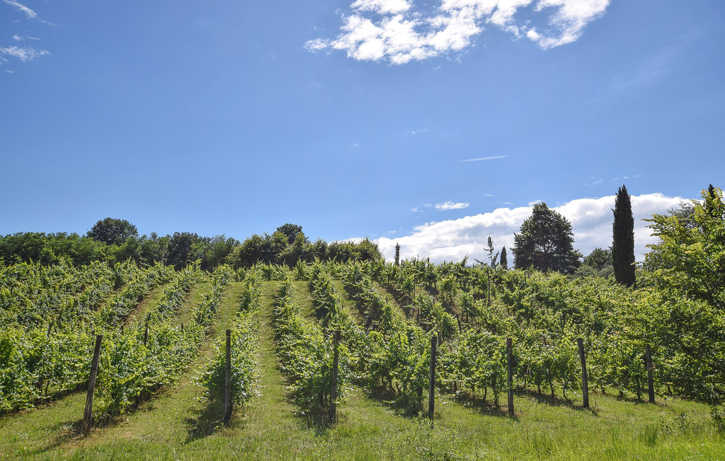 Ferienhaus - Loria , Italien - IVC316 27