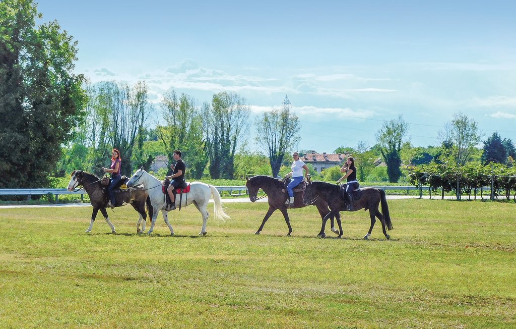 Ferienhaus - Barbarano , Italien - IVC162 26