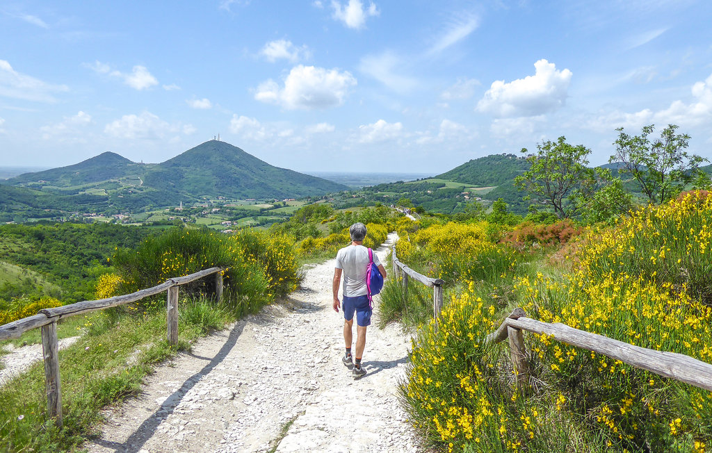 Ferienhaus - Montemerlo , Italien - IVC319 24